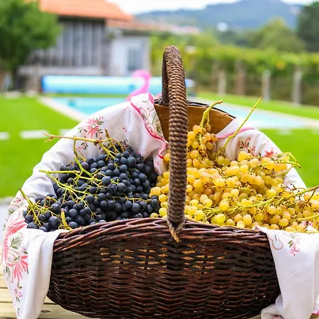 Quintinha Do Oliveira Dom wakacyjny *