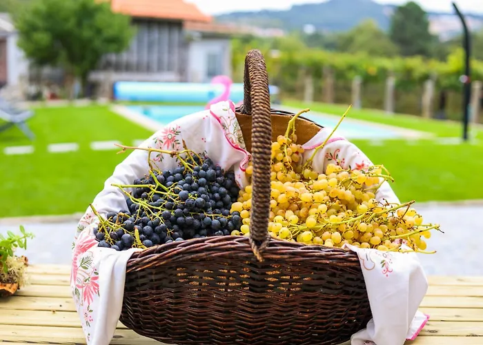 Quintinha Do Oliveira Nyaraló *