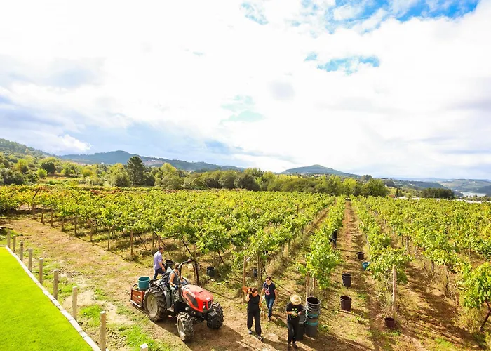 Quintinha Do Oliveira Nyaraló